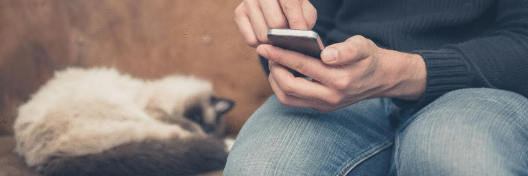 Jornada do tutor: O que é e qual sua importância no marketing para clínicas veterinárias